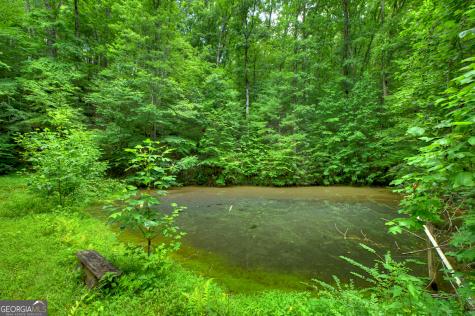 600 Conasauga Road Ellijay GA 30540