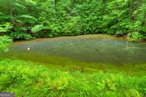 600 Conasauga Road Ellijay GA 30540