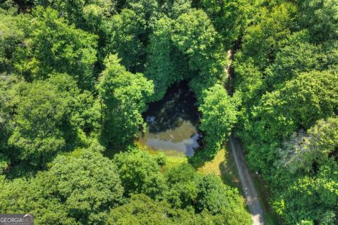600 Conasauga Road Ellijay GA 30540