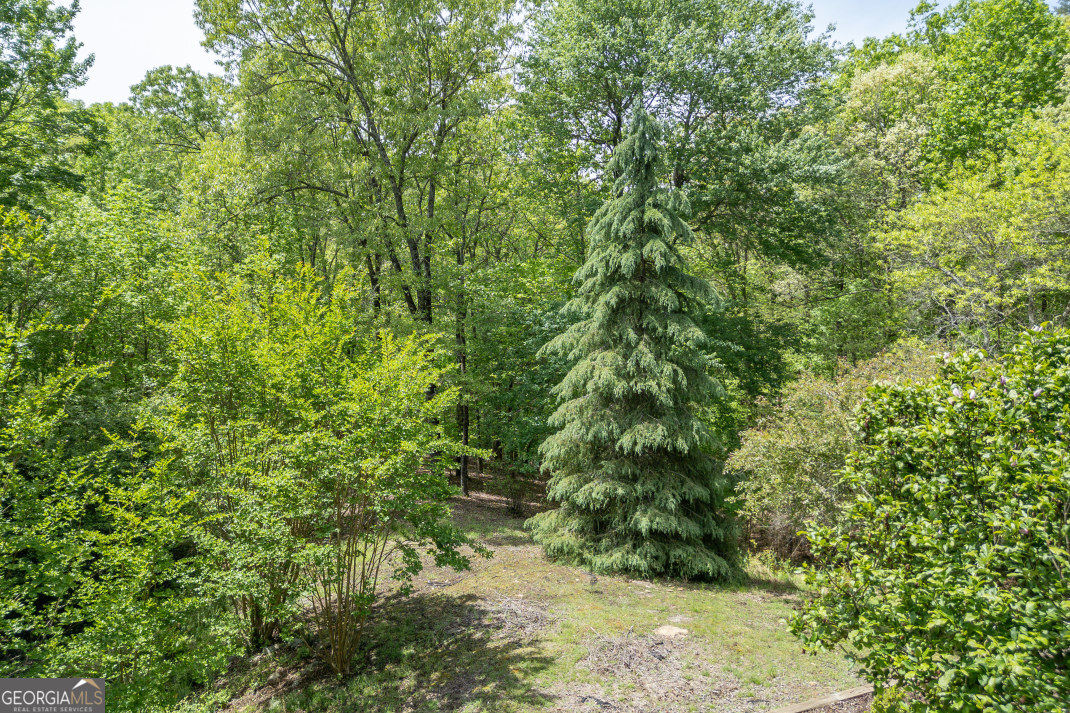 1204 Brookhaven Lane Blue Ridge GA 30513