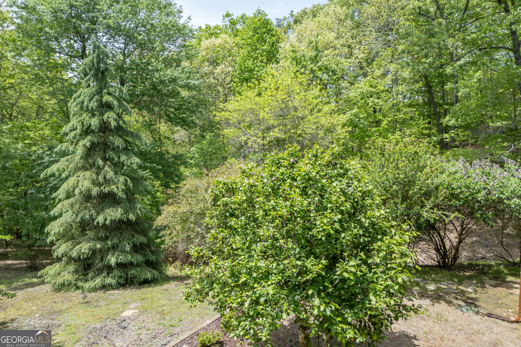 1204 Brookhaven Lane Blue Ridge GA 30513