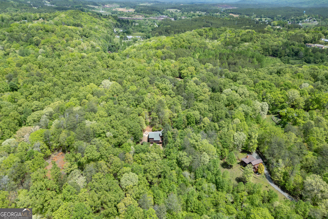 1204 Brookhaven Lane Blue Ridge GA 30513