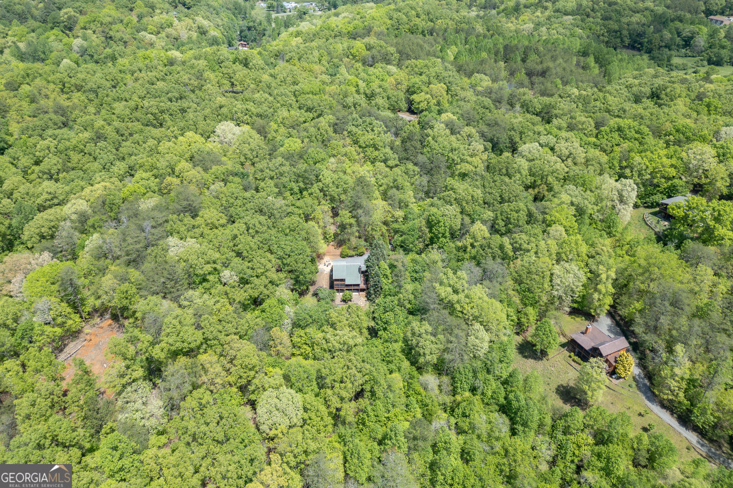 1204 Brookhaven Lane Blue Ridge GA 30513