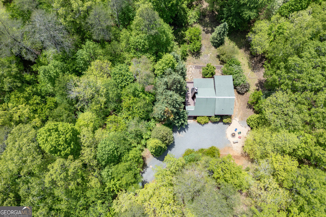 1204 Brookhaven Lane Blue Ridge GA 30513