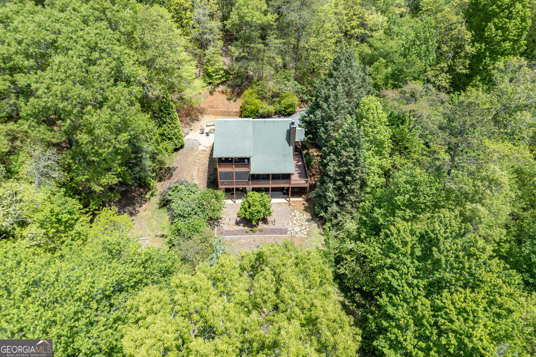 1204 Brookhaven Lane Blue Ridge GA 30513