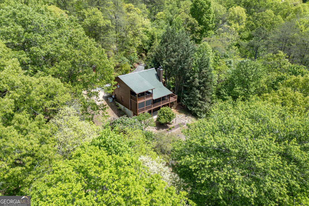 1204 Brookhaven Lane Blue Ridge GA 30513