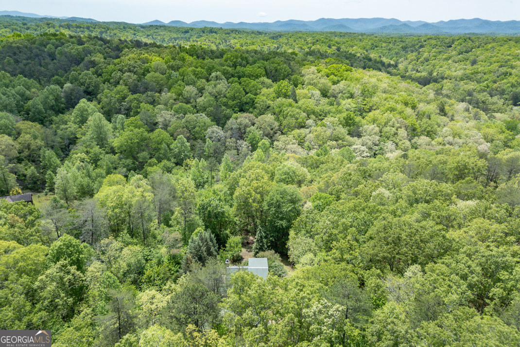 1204 Brookhaven Lane Blue Ridge GA 30513