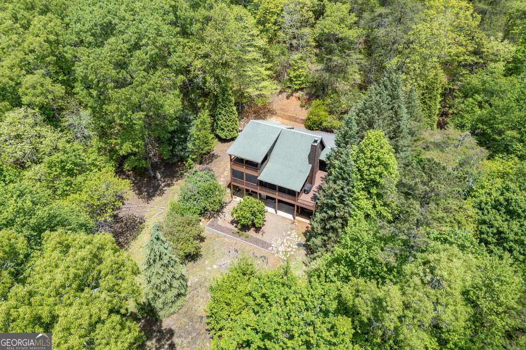 1204 Brookhaven Lane Blue Ridge GA 30513