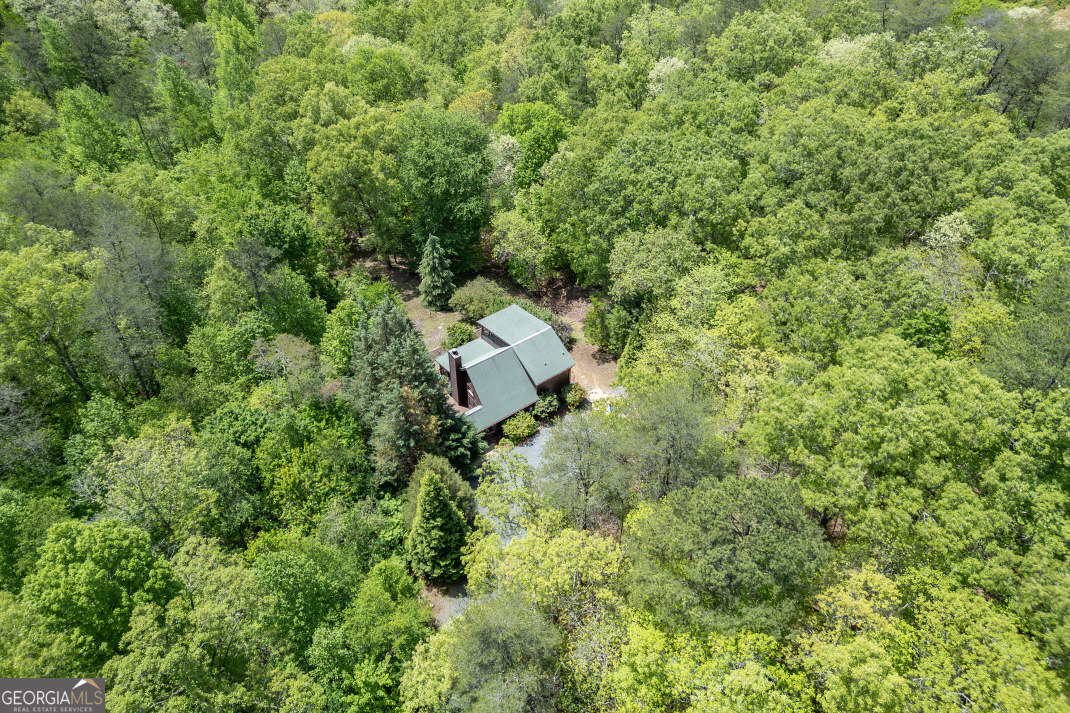 1204 Brookhaven Lane Blue Ridge GA 30513