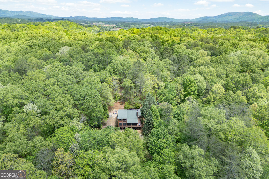 1204 Brookhaven Lane Blue Ridge GA 30513