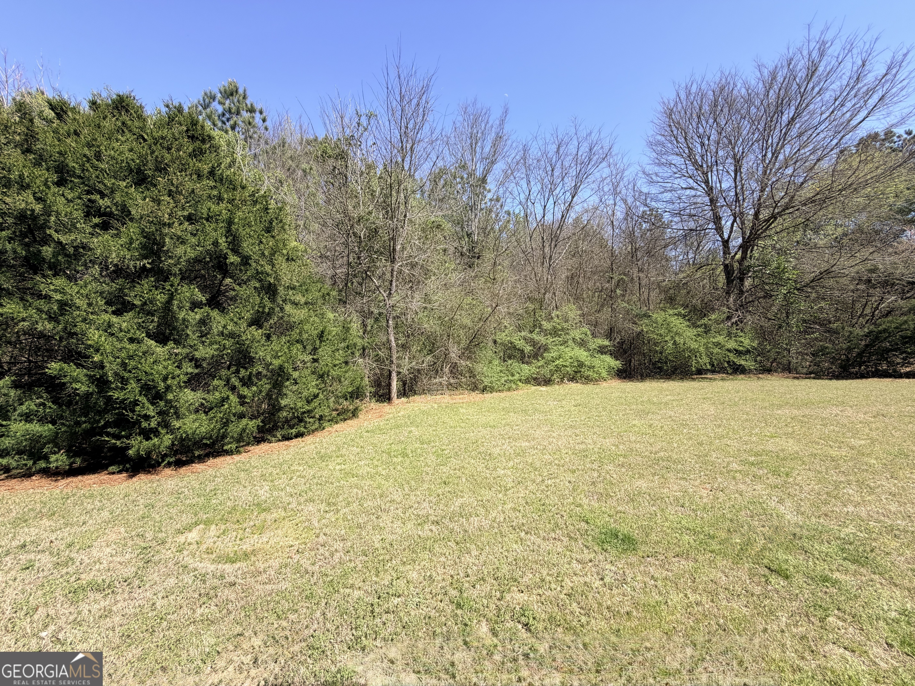 1601 Honeysuckle Path Conyers GA 30012