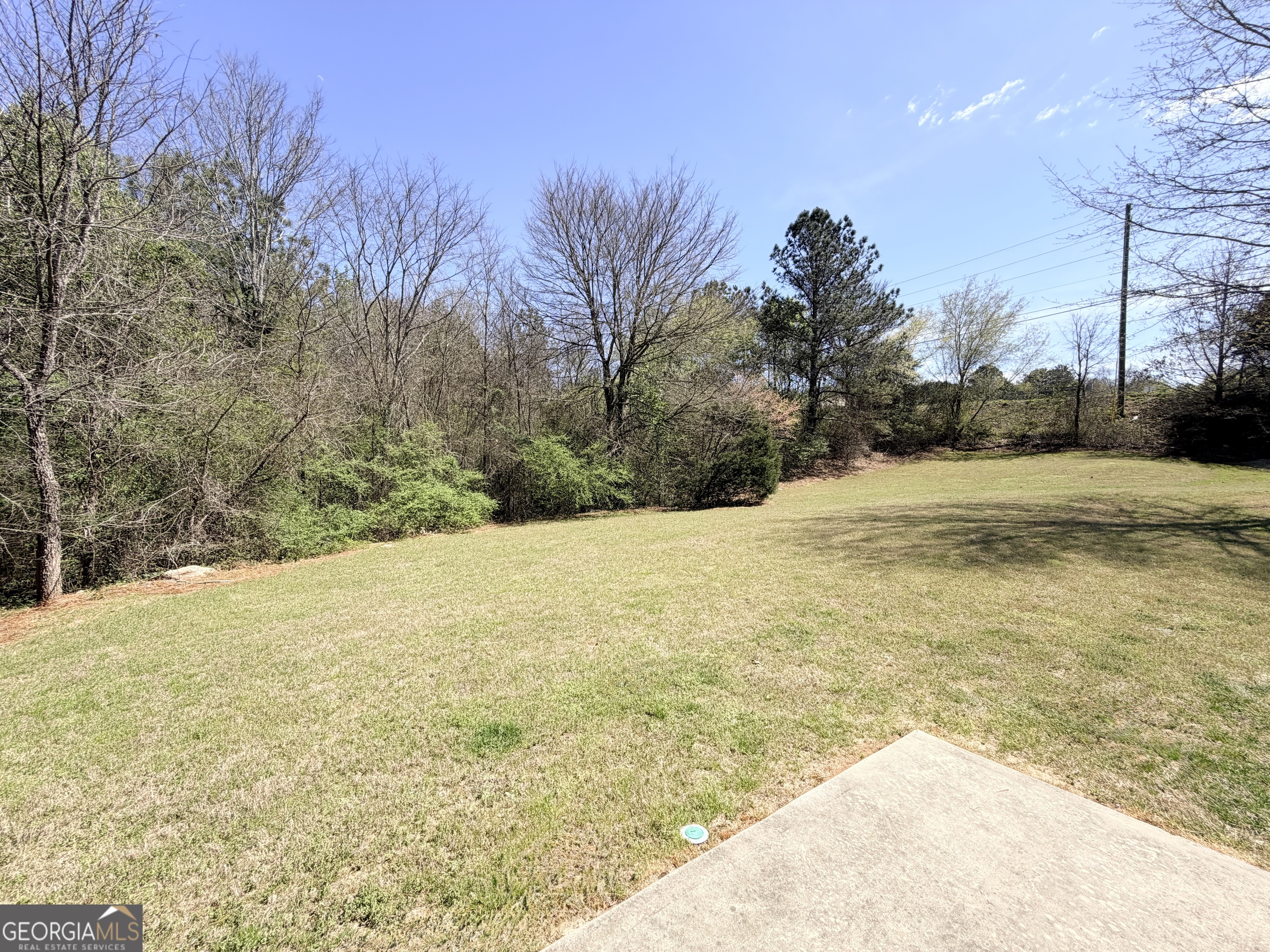 1601 Honeysuckle Path Conyers GA 30012