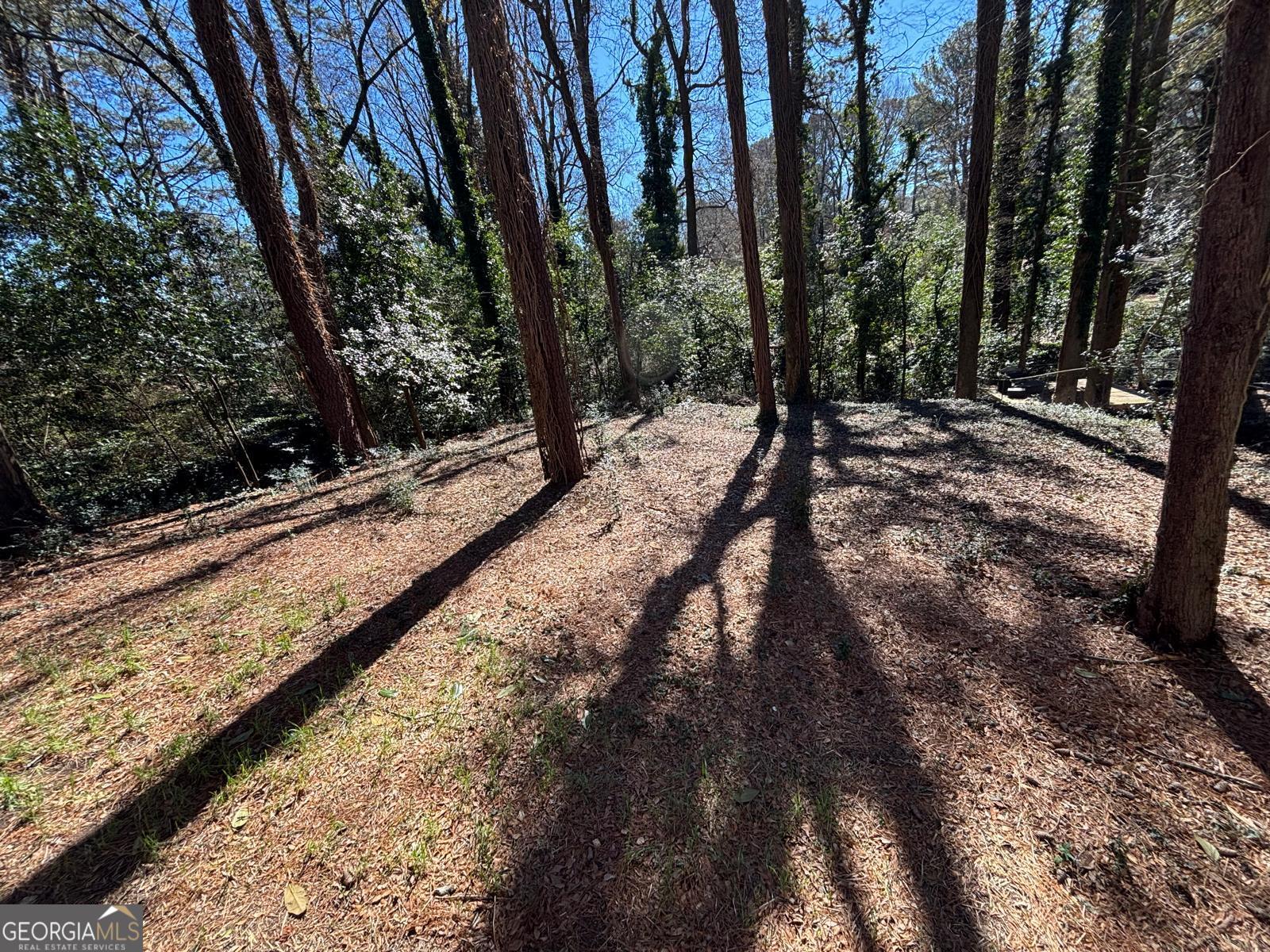 2485 Ortega Way Chamblee GA 30341