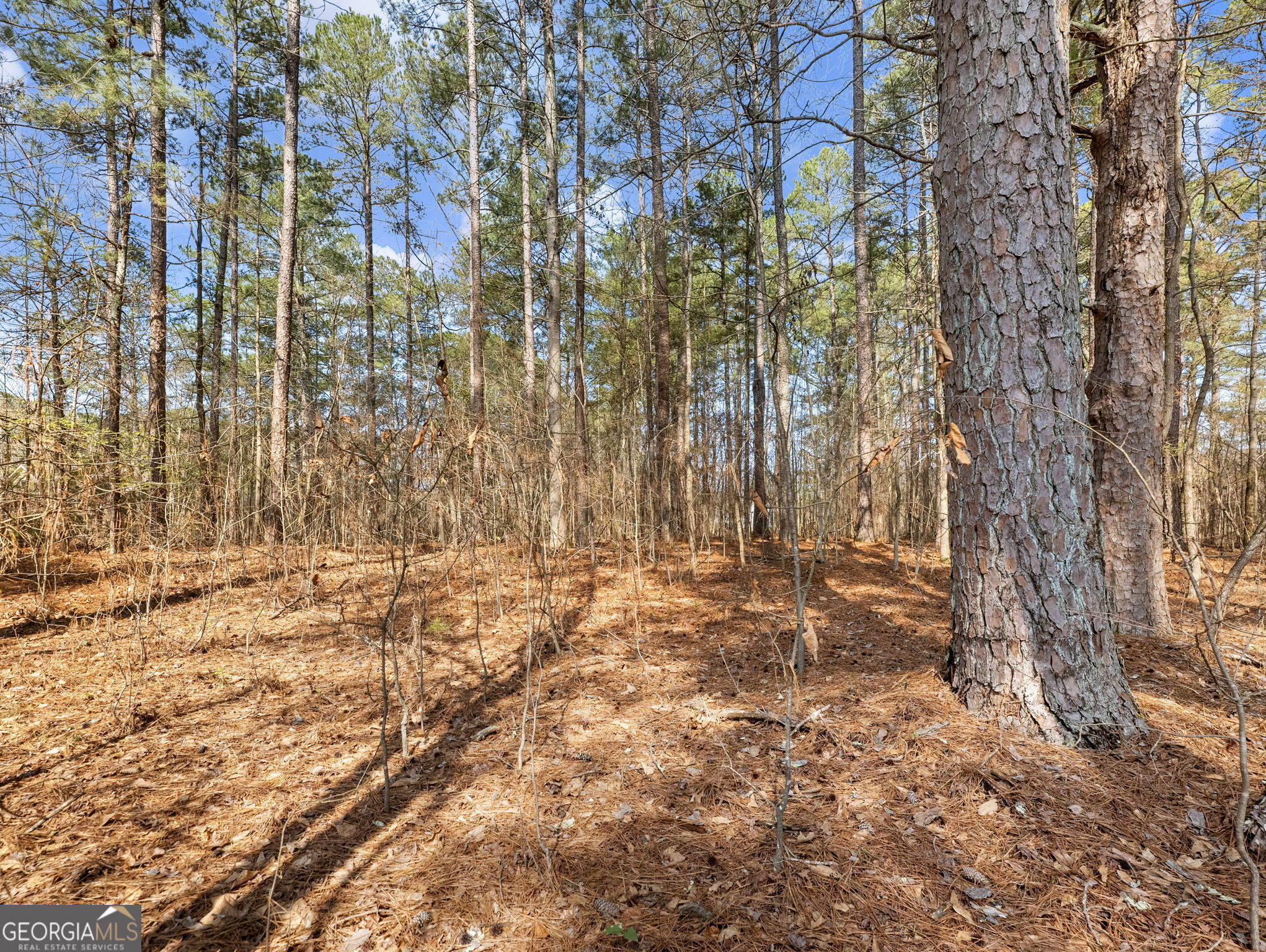 1686 Shoal Creek Road Monroe GA 30656