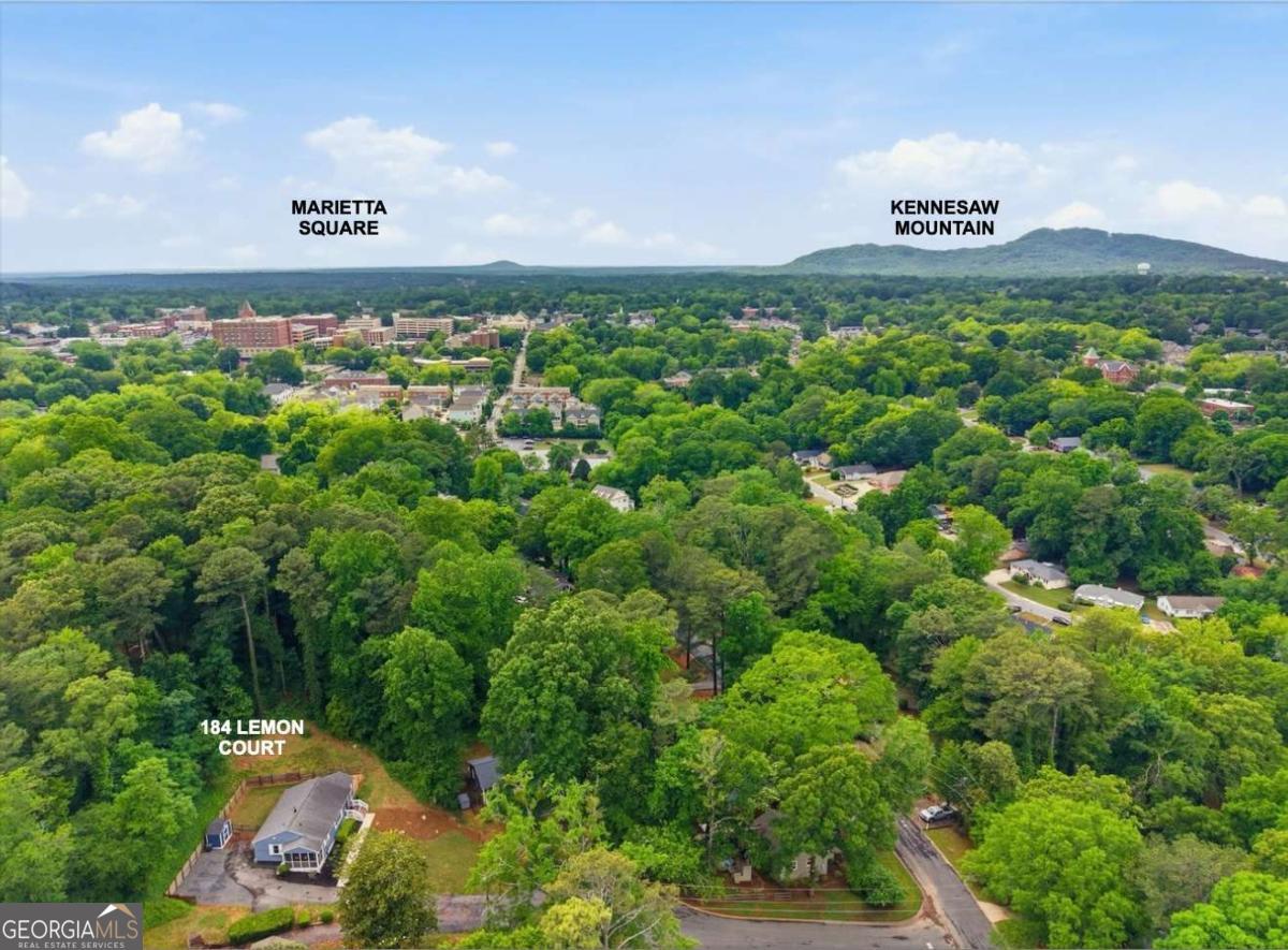 184 Lemon Court NE Marietta GA 30060