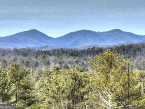 71 Rising Fawn Drive Mineral Bluff GA 30559