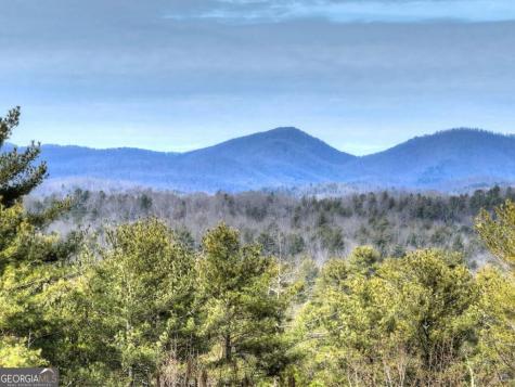 71 Rising Fawn Drive Mineral Bluff GA 30559