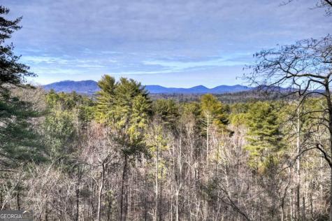 71 Rising Fawn Drive Mineral Bluff GA 30559