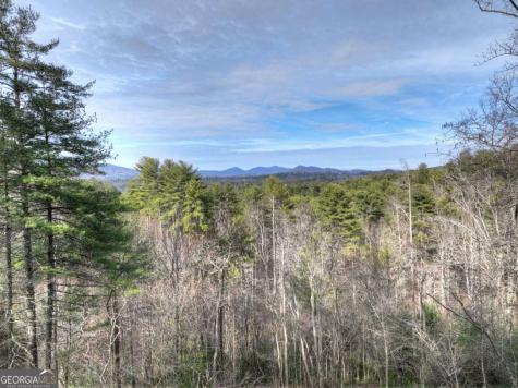 71 Rising Fawn Drive Mineral Bluff GA 30559