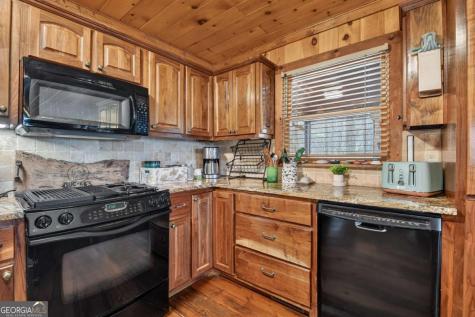 71 Rising Fawn Drive Mineral Bluff GA 30559