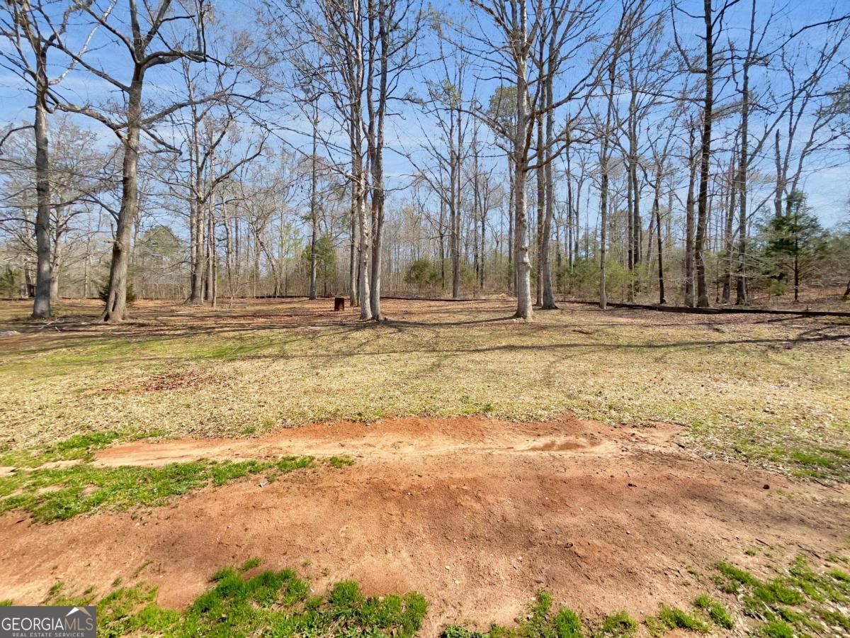 255 Big Oak Circle Athens GA 30605