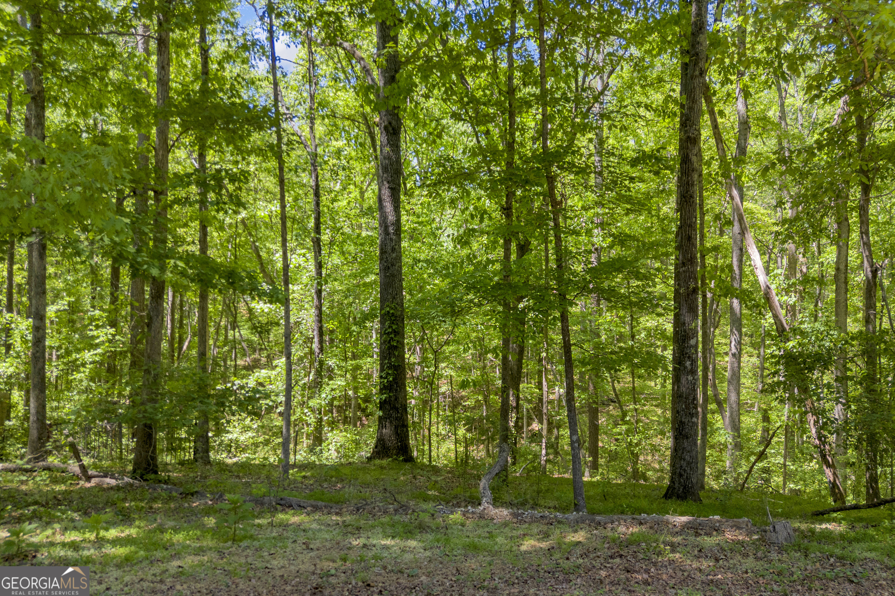 1312 Stonemont Road Auburn GA 30011