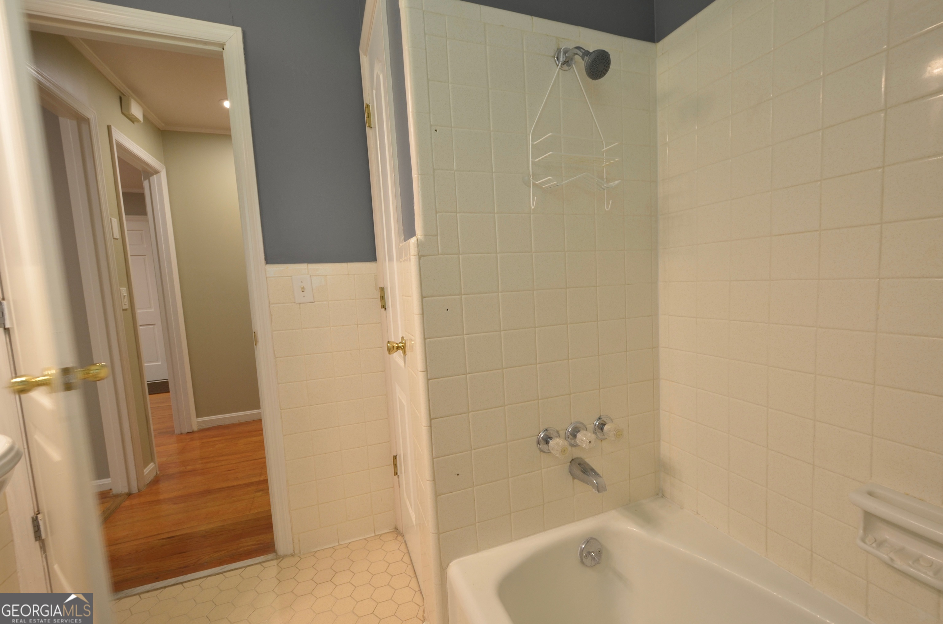 5022 Jessup Street Eastman GA 31023