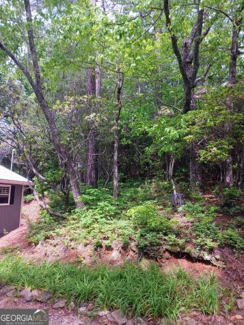 548 Confederate Drive Clayton GA 30525