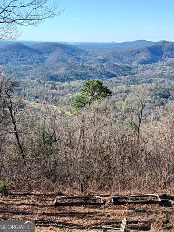 548 Confederate Drive Clayton GA 30525