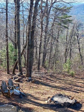 548 Confederate Drive Clayton GA 30525