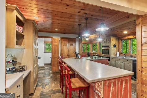 398 Mountain Tops Circle Blue Ridge GA 30513