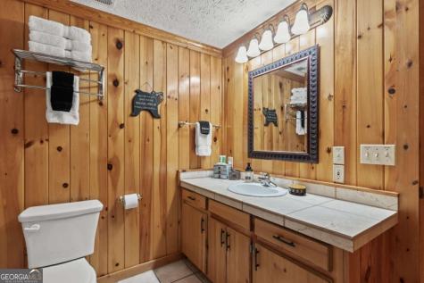 398 Mountain Tops Circle Blue Ridge GA 30513