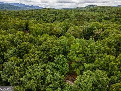 398 Mountain Tops Circle Blue Ridge GA 30513