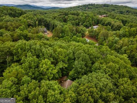 398 Mountain Tops Circle Blue Ridge GA 30513