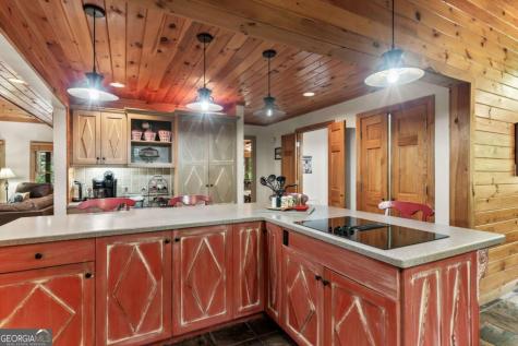 398 Mountain Tops Circle Blue Ridge GA 30513