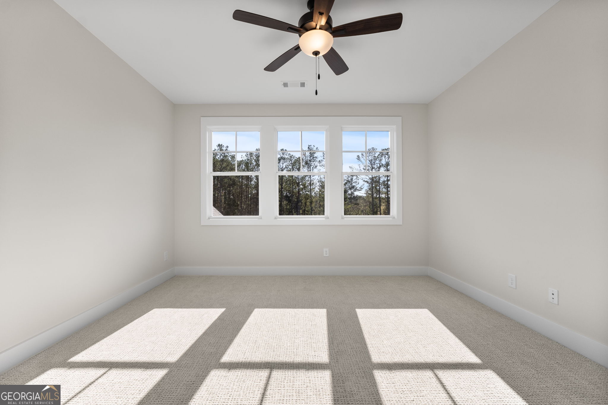 55 Stubbs Hill Senoia GA 30276