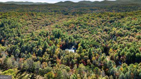 184 Spence Road Blue Ridge GA 30513