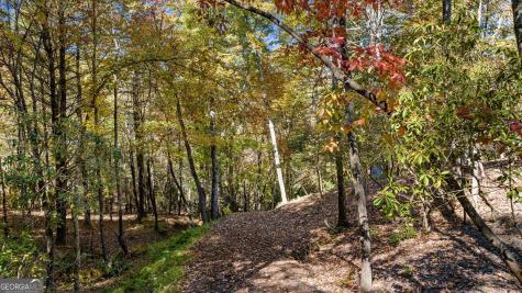 184 Spence Road Blue Ridge GA 30513
