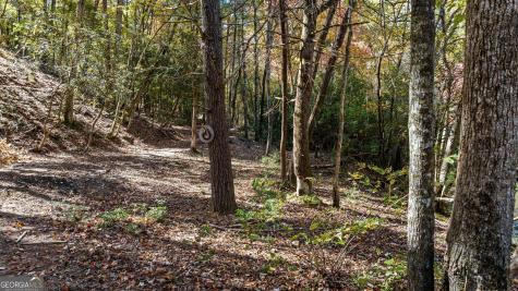 184 Spence Road Blue Ridge GA 30513