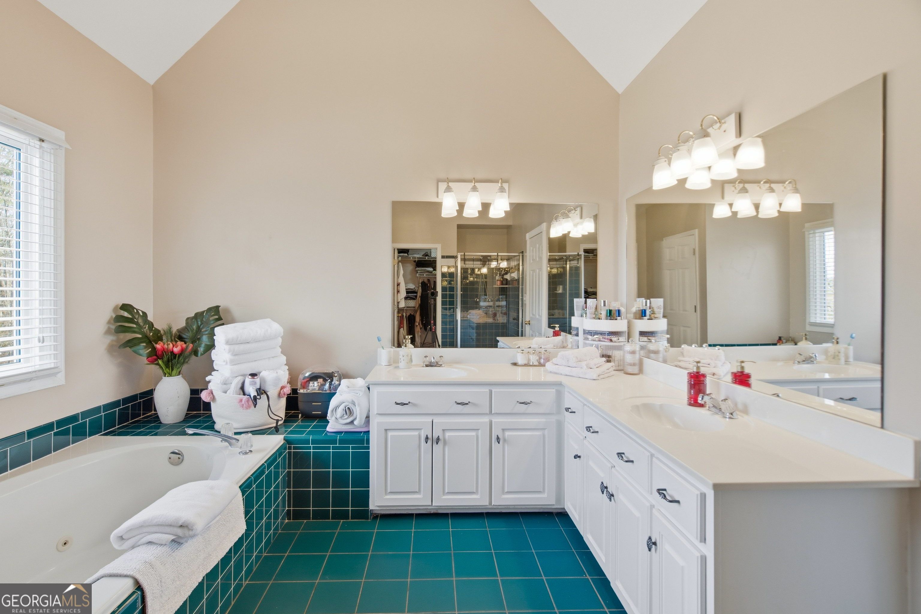 3644 Springwell Court Douglasville GA 30135