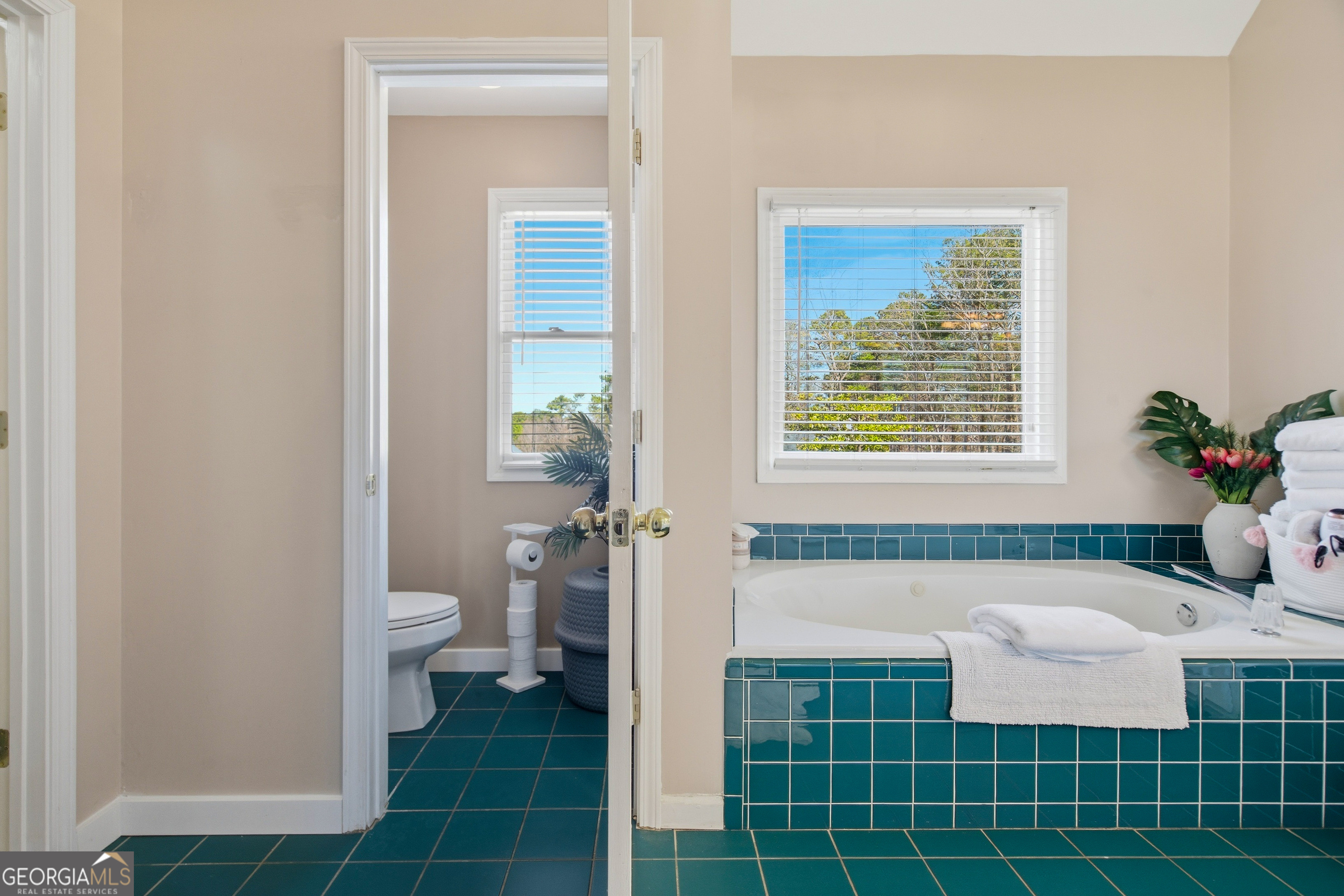 3644 Springwell Court Douglasville GA 30135