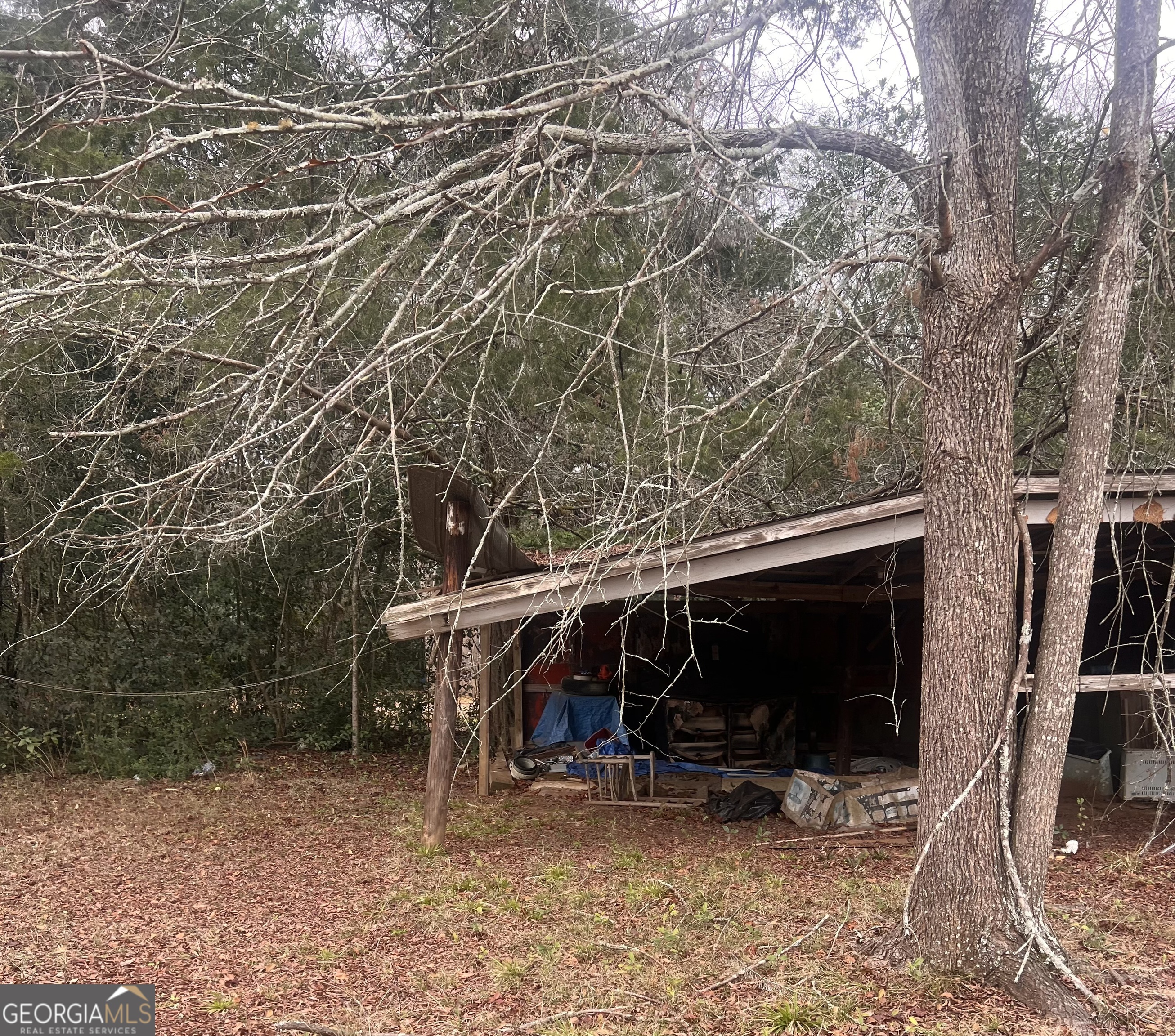 96 Jesse Johnson Drive Blakely GA 39823