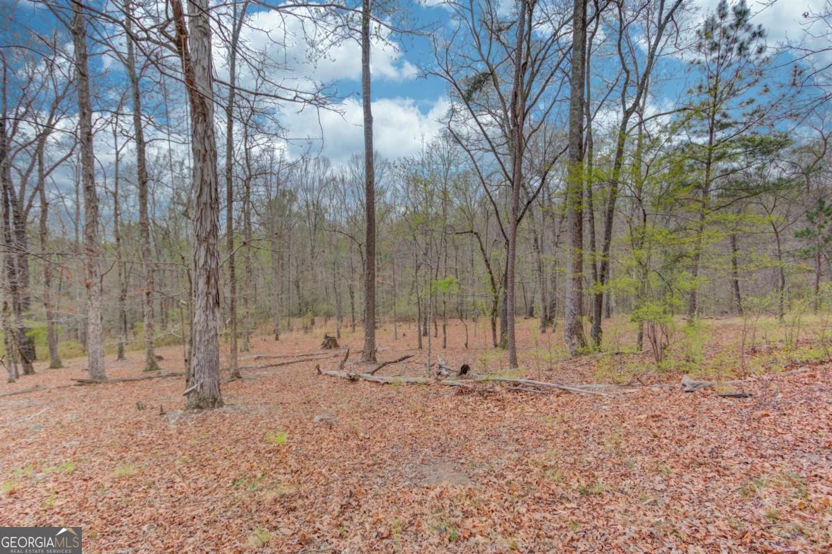 360 Mulberry Road NW Winder GA 30680