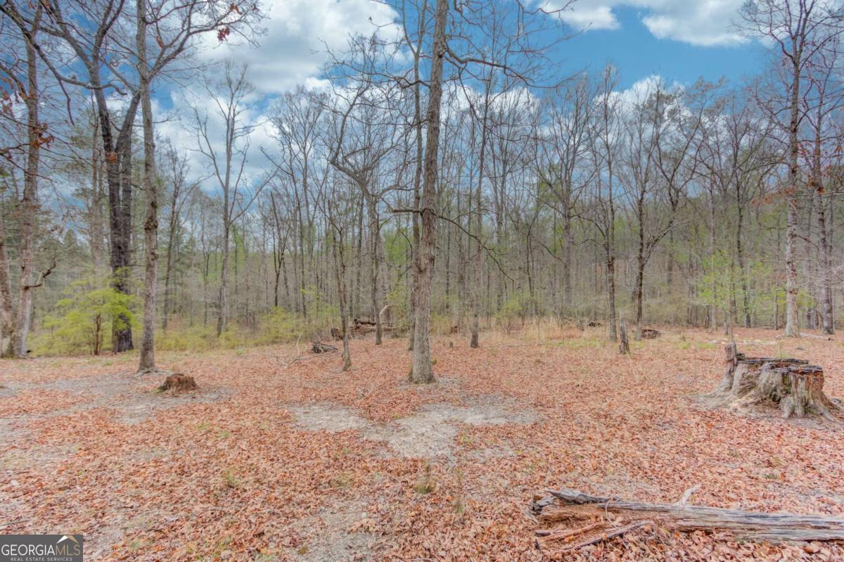 360 Mulberry Road NW Winder GA 30680