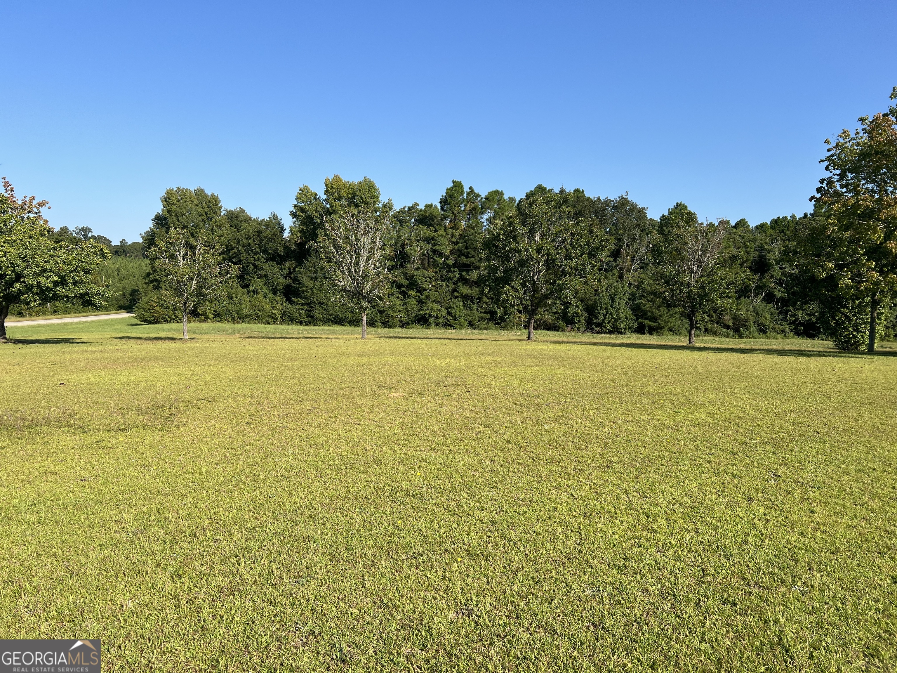 762 Nicholson Carr Road Chester GA 31012