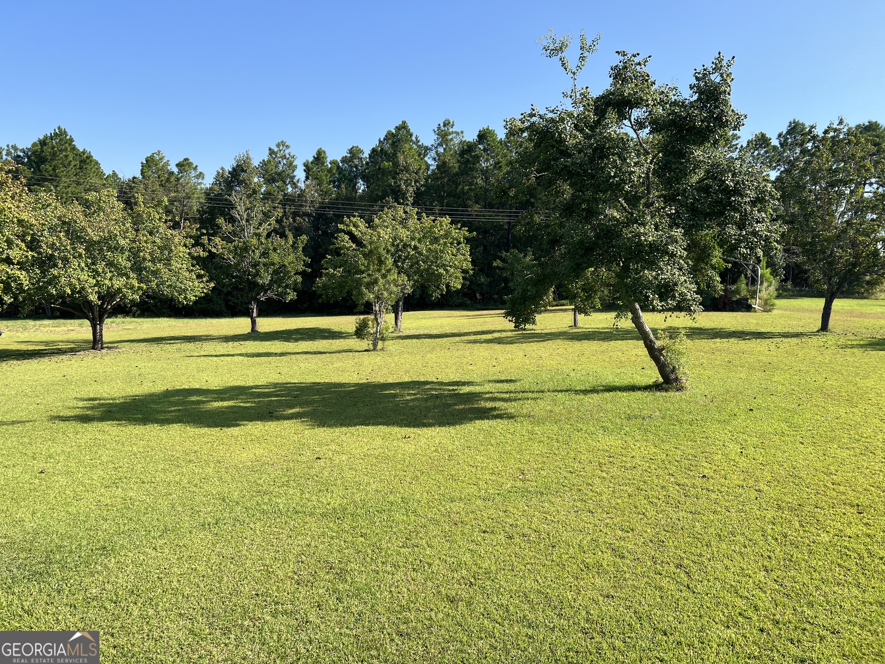 762 Nicholson Carr Road Chester GA 31012