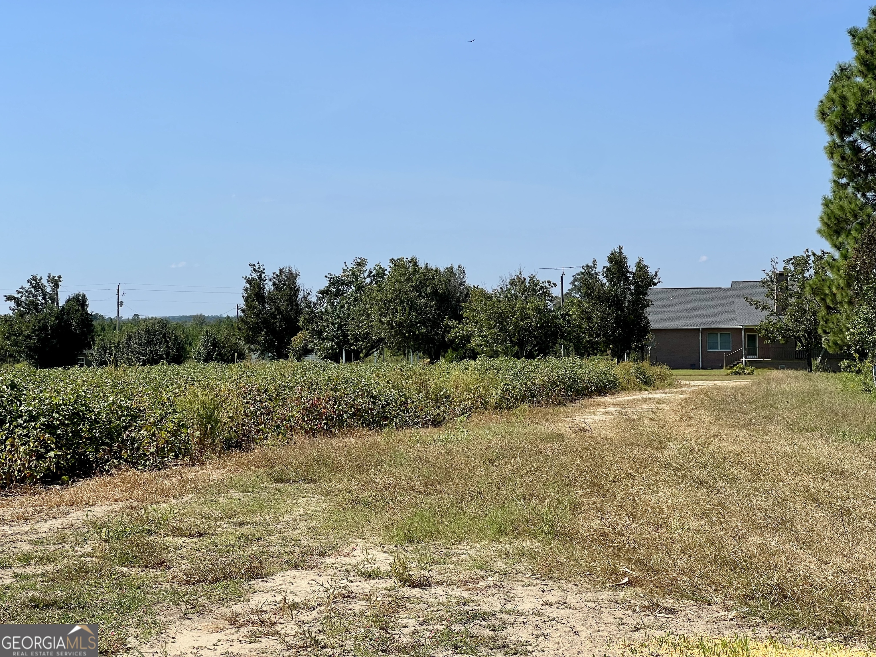 762 Nicholson Carr Road Chester GA 31012