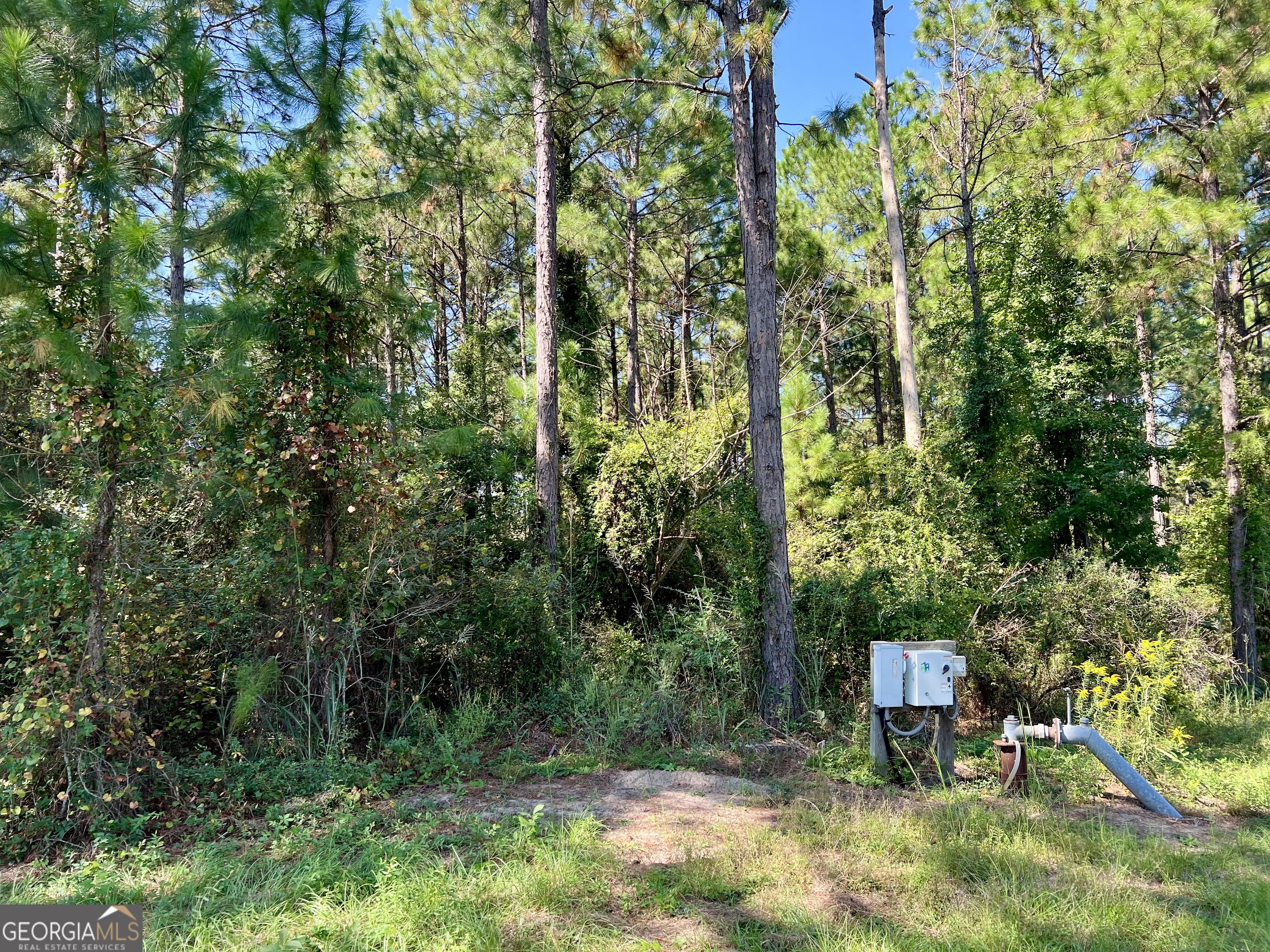 762 Nicholson Carr Road Chester GA 31012
