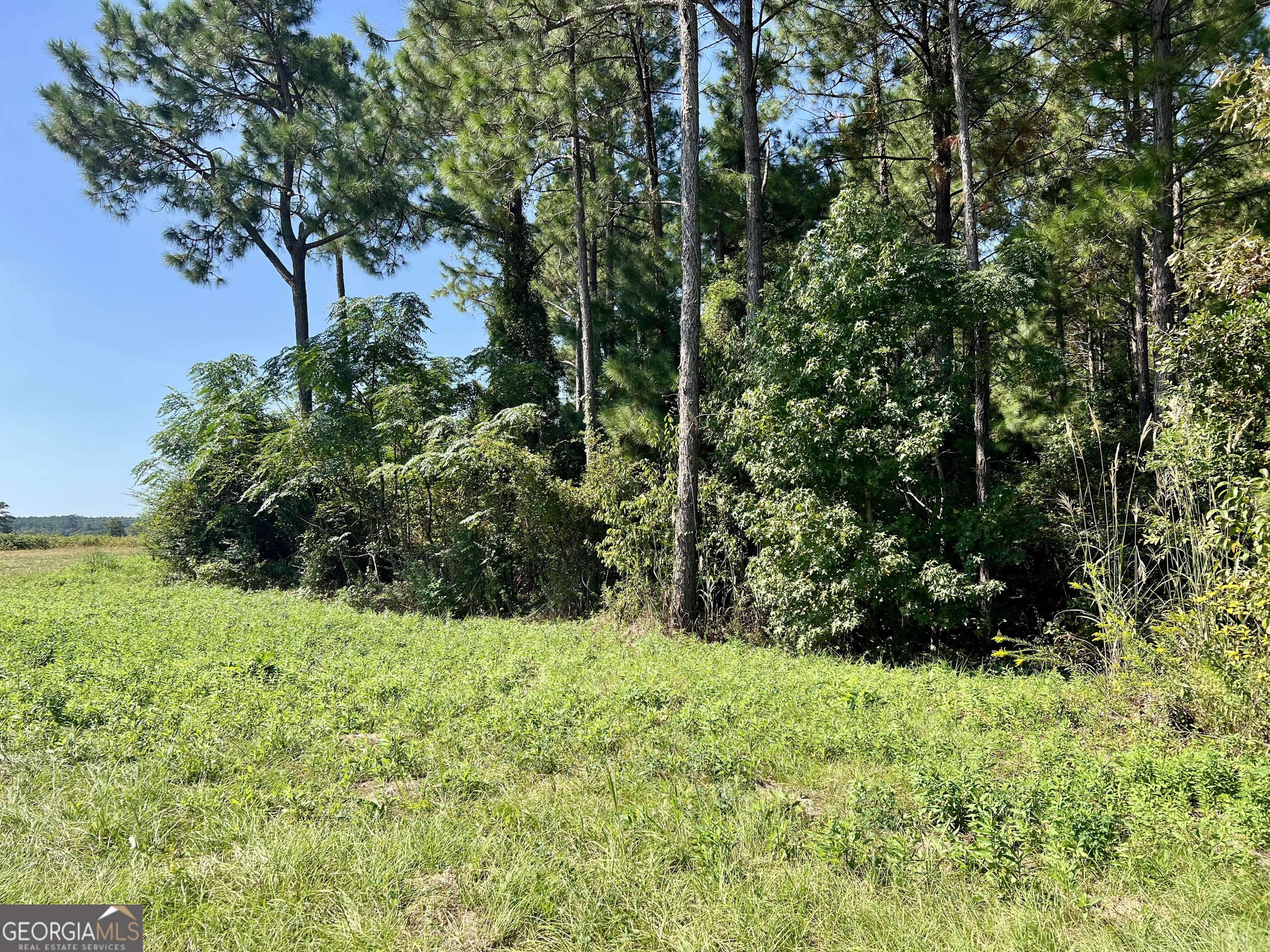 762 Nicholson Carr Road Chester GA 31012