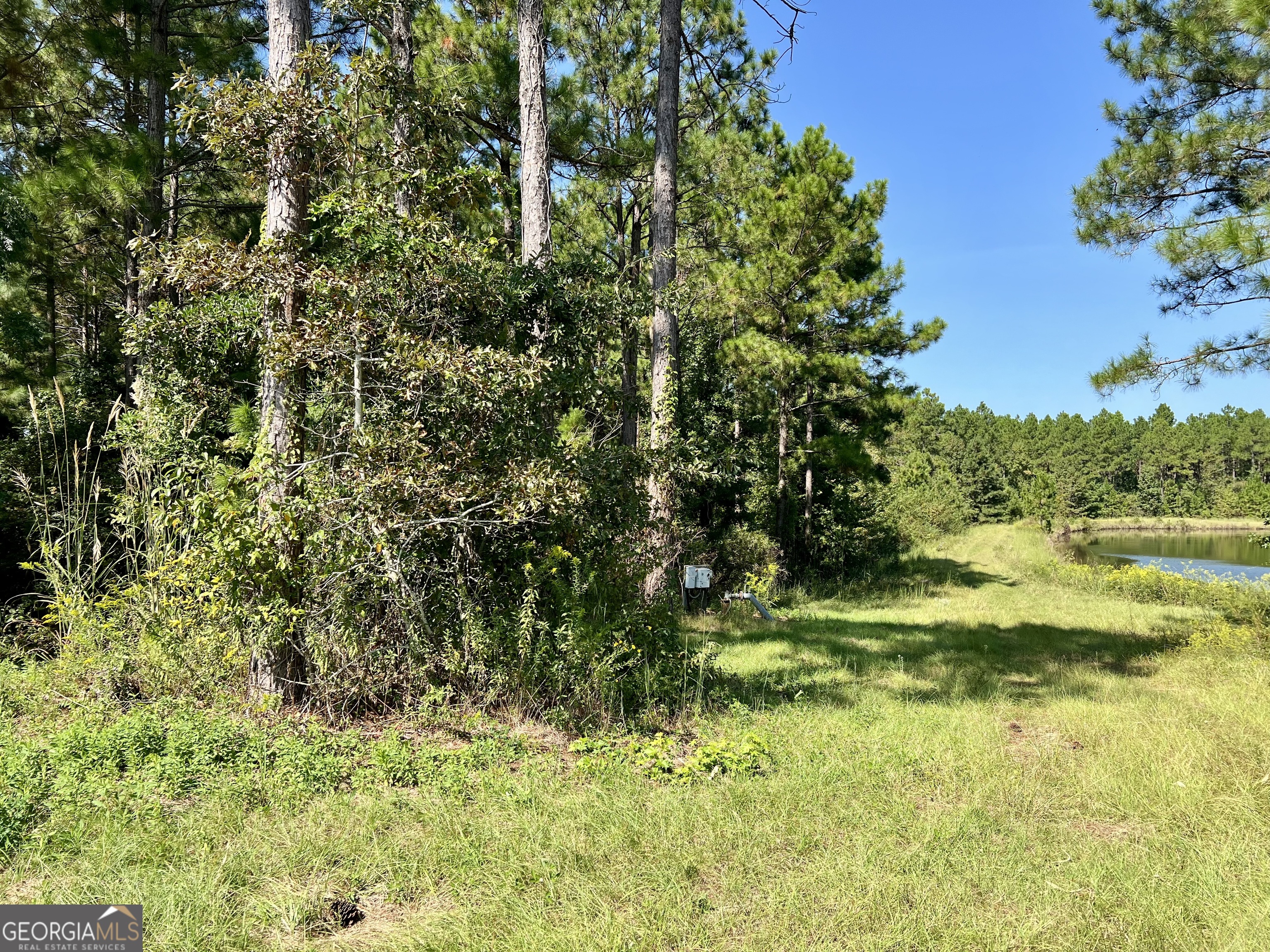 762 Nicholson Carr Road Chester GA 31012
